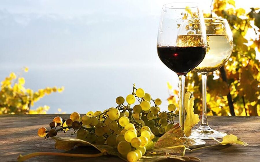 Madeira - Vineyard Tour Wine Tasting - Included - São Vicente winery stop: where the tour earns its wine credentials