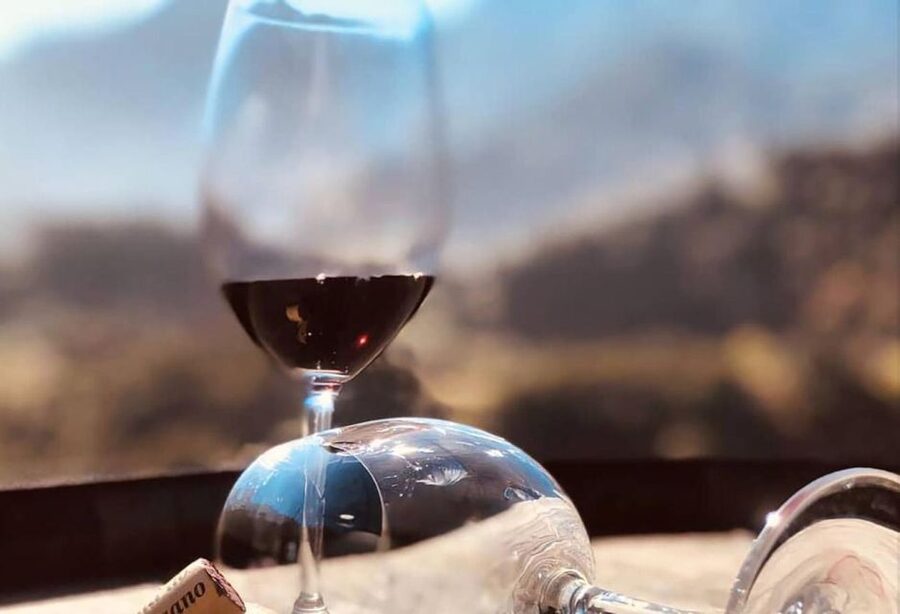 Madeira - Vineyard Tour Wine Tasting - Included - Comfort tips so the day feels easy, not rushed