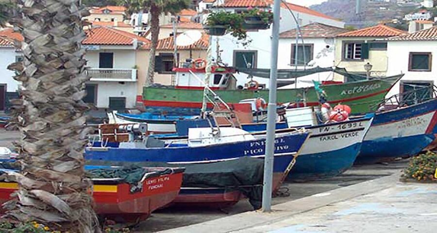 Madeira - Vineyard Tour Wine Tasting - Included - Who should book, and who should skip this Madeira vineyard wine tour