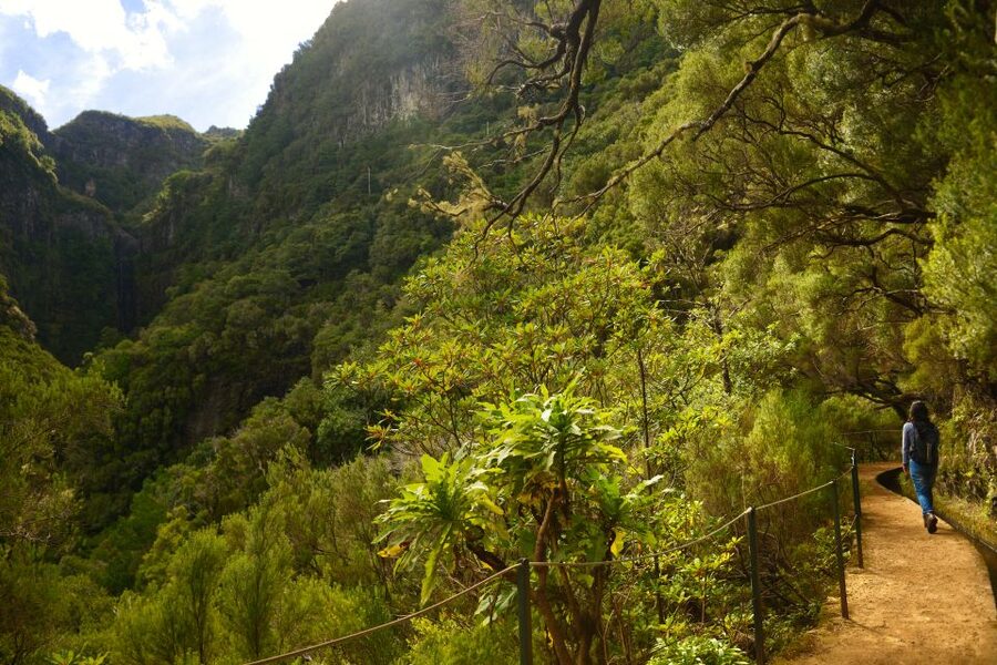 Madeira Walks - Rabaçal and the 25 Fountains - First Stops at the Café Break: Reset Before the Walking