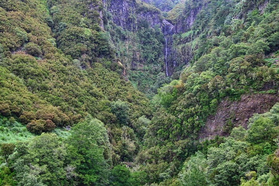 Madeira Walks - Rabaçal and the 25 Fountains - Rabaçal Reserve Hike: Waterfalls, Steps, and the 800m Tunnel