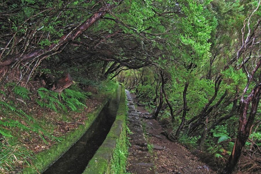 Madeira Walks - Rabaçal and the 25 Fountains - The 25 Fountains and the Crystal Lake: How the System Works
