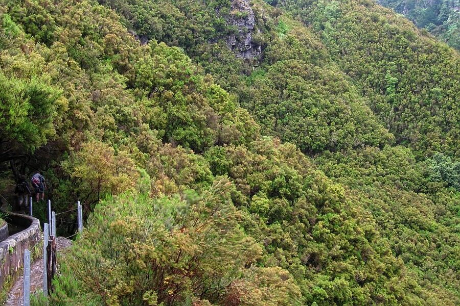 Madeira Walks - Rabaçal and the 25 Fountains - Flora, Fauna, and Madeira’s UNESCO Protected Waterways