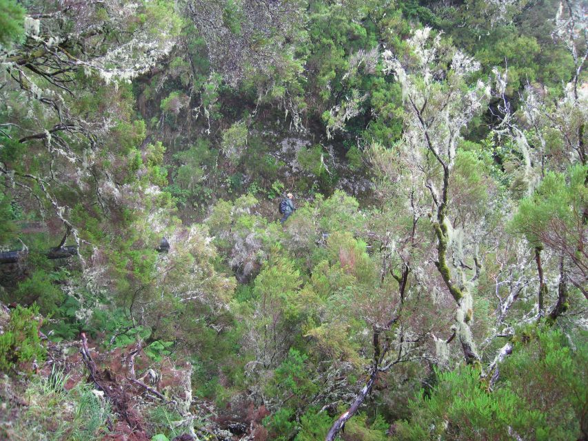 Madeira Walks - Rabaçal and the 25 Fountains - Pacing, Weather, and Crowd Reality at the Main Waterfall