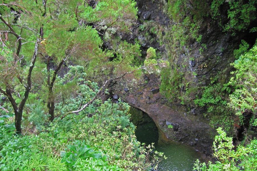 Madeira Walks - Rabaçal and the 25 Fountains - Guides in Action, from Nuno to Marta, and Why It Matters