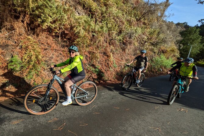 Madeira West Coast E-Bike Tour - Stop 1 in Calheta: church, gardened houses, and the climb toward Paul da Serra