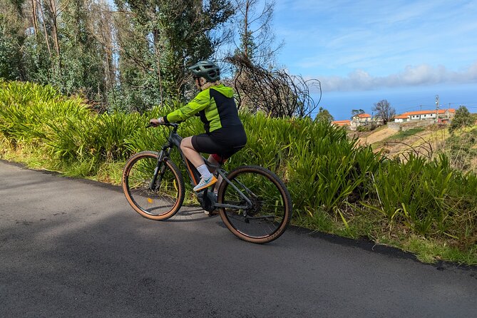 Madeira West Coast E-Bike Tour - Ponta do Pargo: a revitalizing village with fruit trees and cows nearby