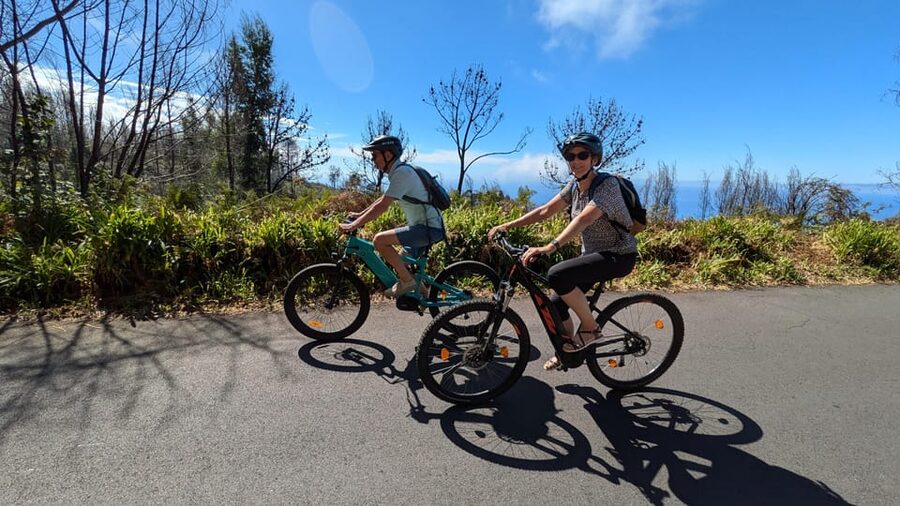 Madeira West coast: Guided Sightseeing E-Bike Tour - Prazeres forest roads: pine and eucalyptus before the views
