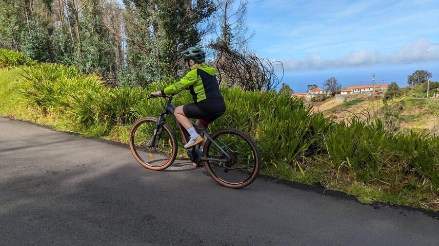 Madeira West coast: Guided Sightseeing E-Bike Tour - Past farmer homes and irrigation systems: seeing Madeira work