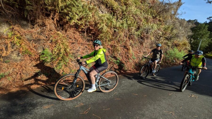 Madeira West coast: Guided Sightseeing E-Bike Tour - Ponta do Pargo: cafes, church, and the valley-to-sea slide