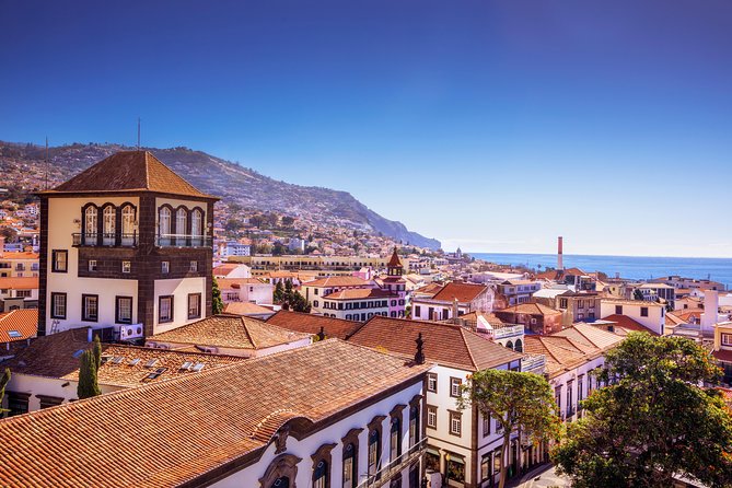 Madeira West Island Full Day Small-Group Tour from Funchal - São Vicente: terraces, narrow streets, and the Mother Church