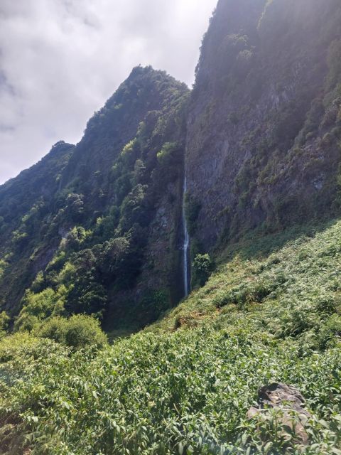 Madeira West Safari - The natural lava pools of Porto Moniz - Fanal Forest, the stop that feels like a movie set