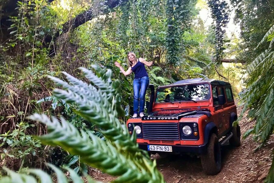 Madeira: West Side Jeep Tour with Natural Pools - Fanal forest: a walking break with foggy magic potential