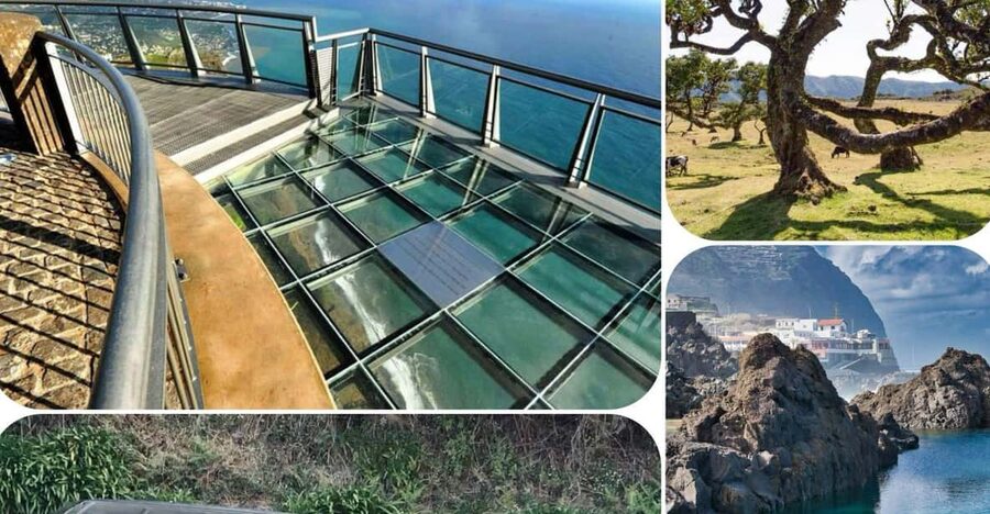 Madeira: West Tour With Guide Fanal Forest SykWalkExperience - Pickup, drop-off, and why the timing feels right