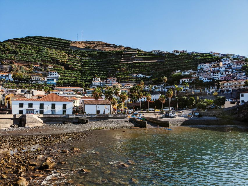 Madeira: Western Madeira Guided Trip & Fanal Mystic Forest - Fanal Mystic Forest and the Laurissilva magic you can’t fake
