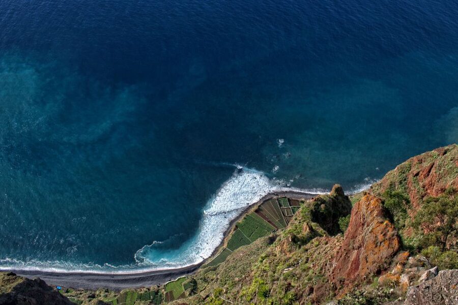 Madeira: Western Madeira Guided Trip & Fanal Mystic Forest - Porto Moniz Natural Volcanic Pools, lunch, and swim time