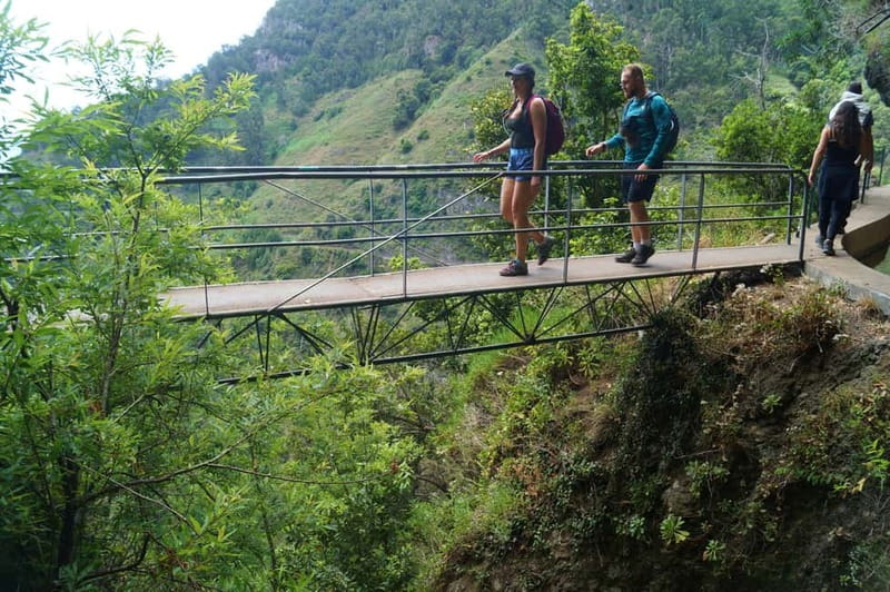 Madeira: Wet your hair in the amazing Levada Nova / Moinhos - The Big Idea: Levada Nova Meets Moinhos Waterpower