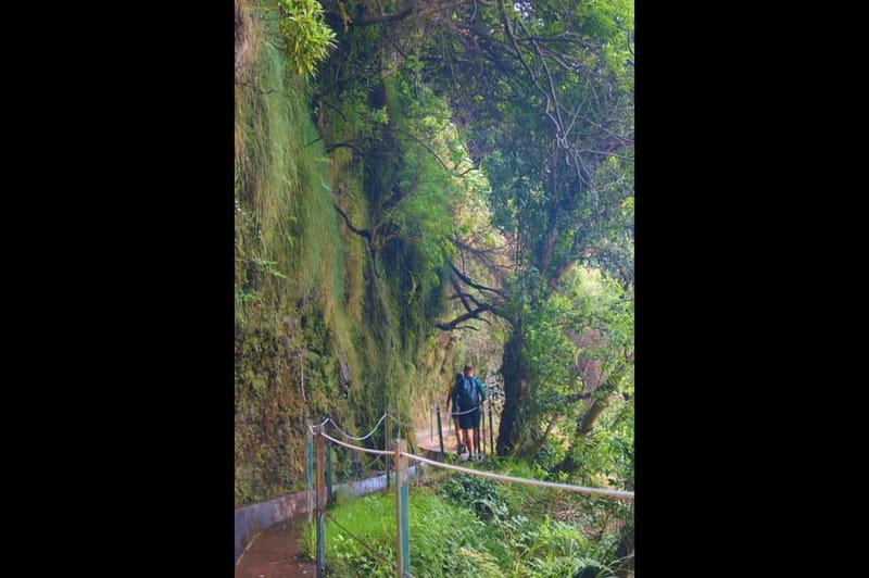 Madeira: Wet your hair in the amazing Levada Nova / Moinhos - Midday View Time: What to Watch for While You Walk