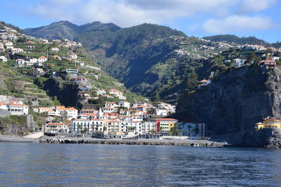 Madeira: Whale and Dolphin Watching Private Cruise - Timing, weather, and the limits that shape your options