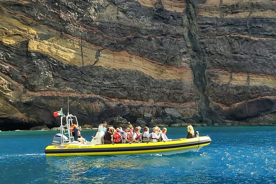 Madeira: Whale and Dolphin Watching Tour - Who Should Book This Tour, and Who Should Skip It