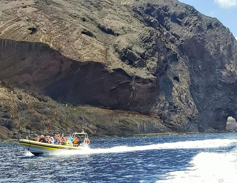 Madeira: Whale and Dolphin Watching Tour - The Animal-First, Safety-First Feel on the Water