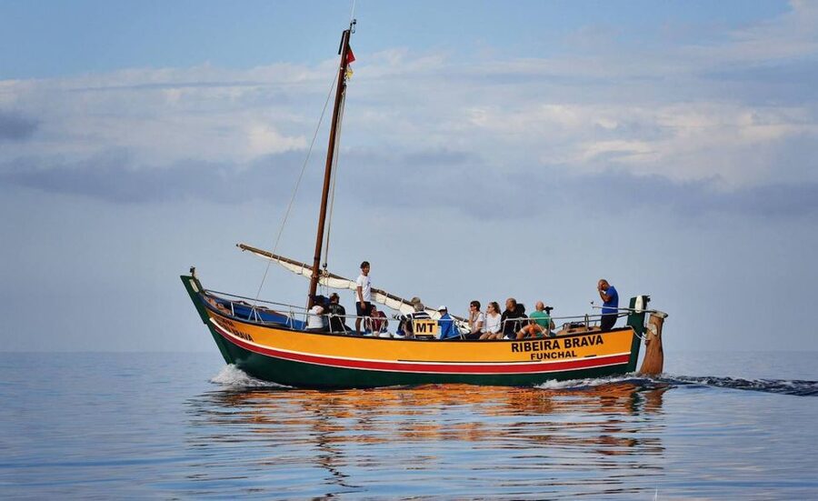Madeira: Whale Watching Excursion in a Traditional Vessel - The 2.5-Hour Ride: Coast Views, Then Open-Ocean Scanning