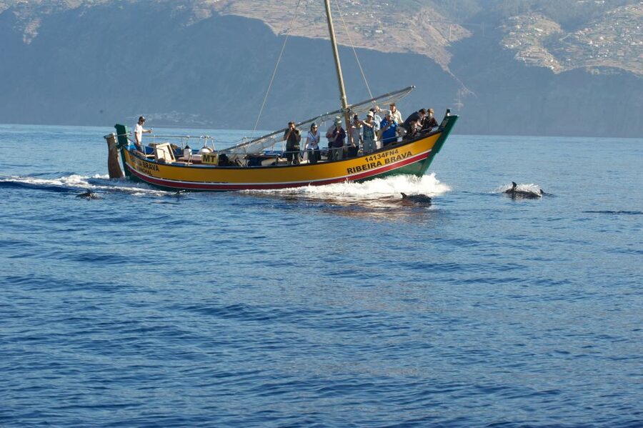 Madeira: Whale Watching Excursion in a Traditional Vessel - Guides You Can Actually Talk To: Ana, Camilla, Carlos, Paula
