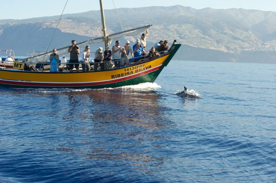Madeira: Whale Watching Excursion in a Traditional Vessel - Snorkeling, Food, and the 5-Hour Surprise in Reviews