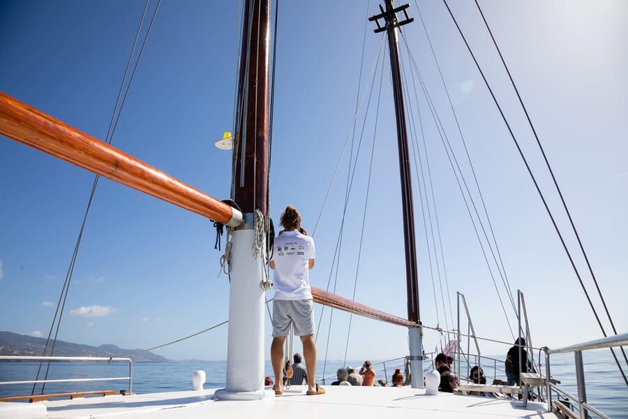 Madeira : Whales and Dolphins wooden boat excursion - Quick Practical Checklist Before You Leave Funchal