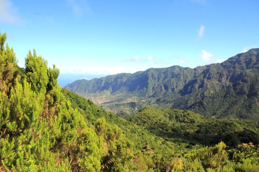 Madeira: Wine Safari Jeep Tour with Local Guide - Ribeira Brava Stop: A Coastal Breather and Quick Photo Window