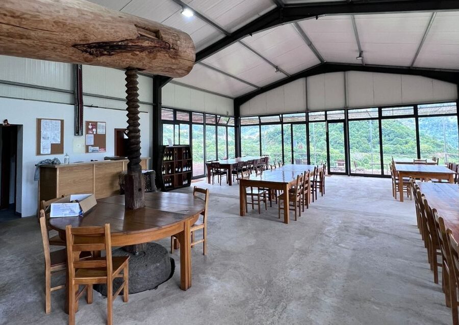 Madeira: Wine Tasting Guided Tour, Jeep Safari, & Viewpoints - Key highlights to know before you go