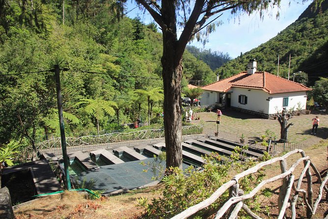 Magnificent East Tour - Ponta de São Lourenço: Guided Wildlife and Native Plants You Might Miss