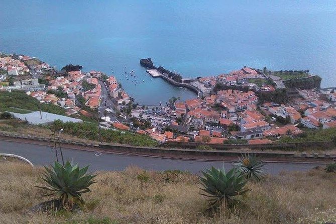 Majestic West Tour and Fanal Forest - A West-Madeira Day That Moves, but Still Lets You Stop