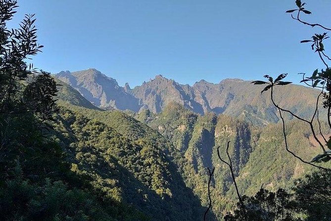 Majestic West Tour and Fanal Forest - From Camara de Lobos to Cabo Girão: Cliff Views and Old-School Madeira