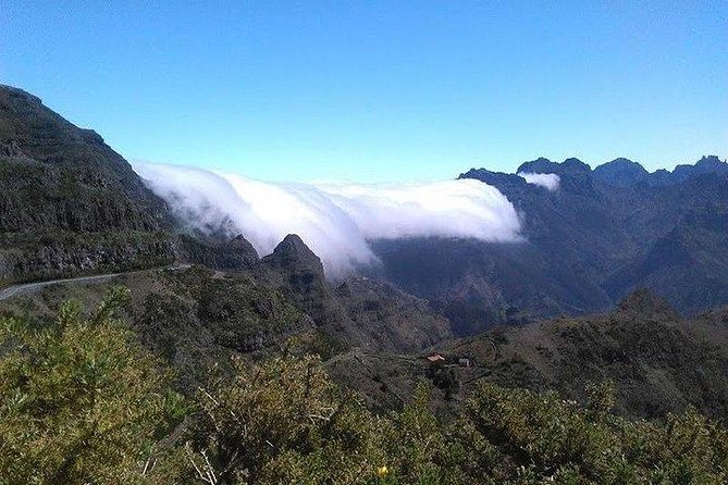 Majestic West Tour and Fanal Forest - Paul da Serra Plateau Points: What You Get Without a Levada Walk