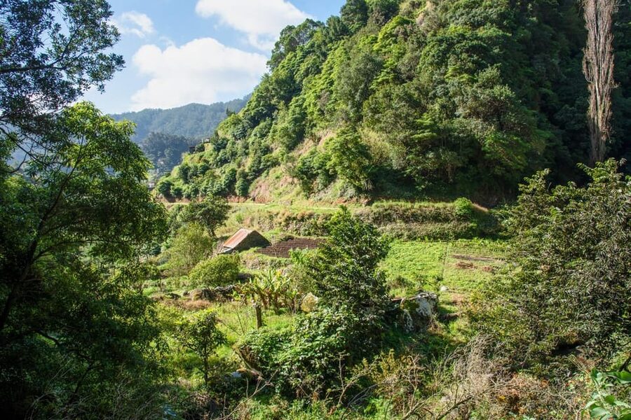 Maroços Madeira Island Levada Walk - First Impressions: Why the Maroços Levada Walk Feels So Easy