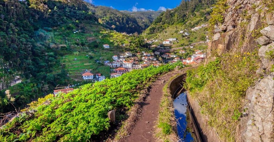 Maroços Madeira Island Levada Walk - What Your Guide Actually Adds: Plants, Animals, and Levada History