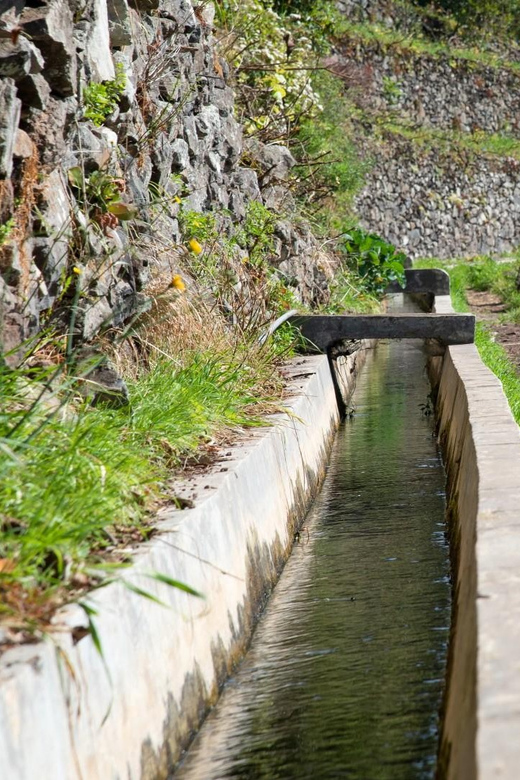 Maroços Madeira Island Levada Walk - Final Call: Should You Book the Maroços Levada Walk?