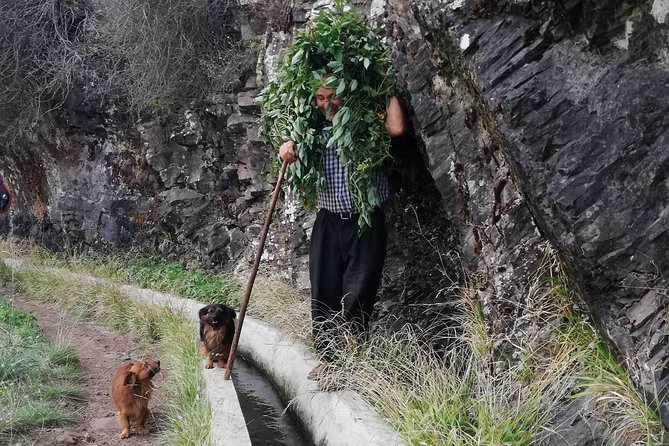 Maroços - Mimosa Valley - Old aqueducts and levadas: what to look for as you walk