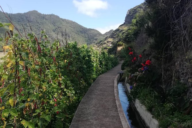 Maroços - Mimosa Valley - End-of-walk drink stop: a relaxed finish instead of a scramble