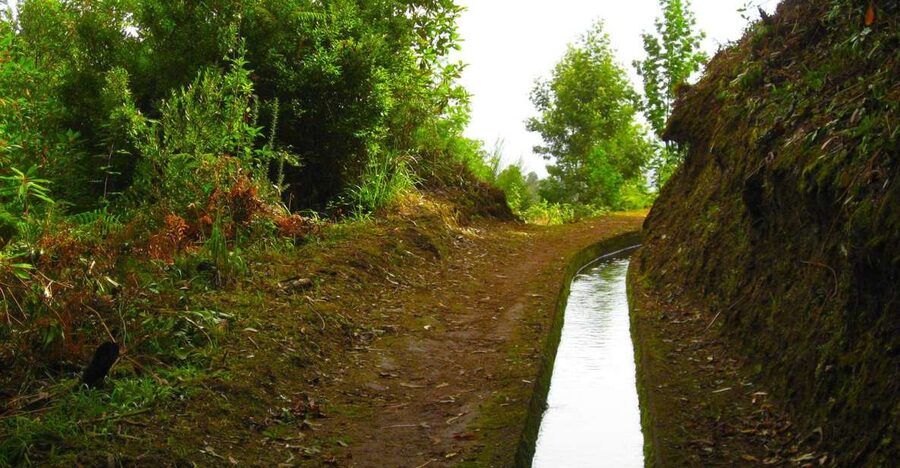 Maroços / Mimosa Valley - Levada Walk - Working farms and crops: the “see how it’s grown” advantage