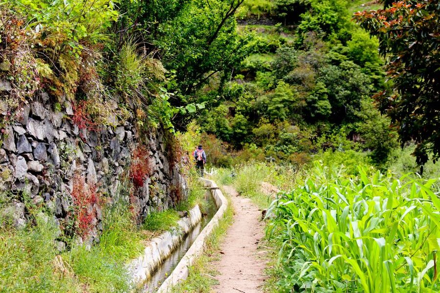 Maroços / Mimosa Valley - Levada Walk - Price and value at about $38: what you get, what you need, and the smart tradeoffs