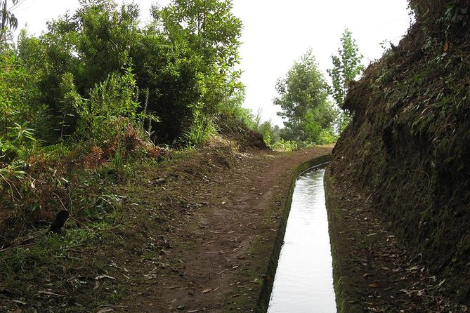 Maroços Mimosa Valley Levada Walk from Funchal - Key things I’d circle before you book
