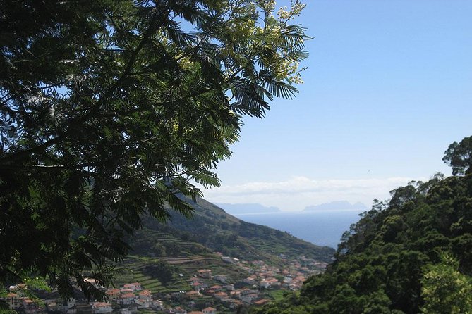 Maroços Mimosa Valley Levada Walk from Funchal - A half-day levada walk that feels like real farm life