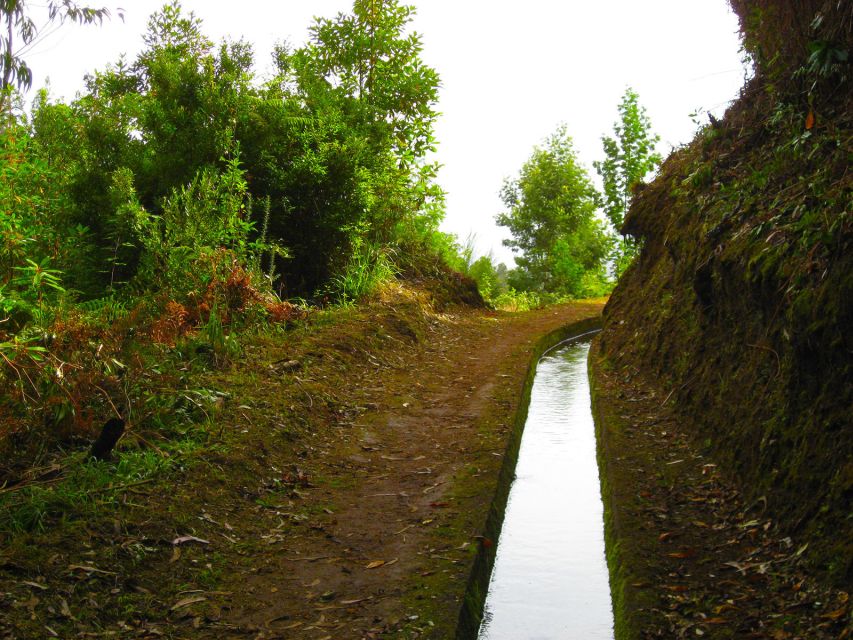 Maroços / Mimosa Valley - Levada Walk - What 4 hours on the Levada dos Maroços maintenance path is really like