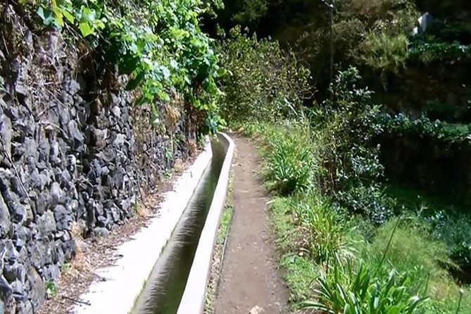 Mimosa Valley Walk - What your 4 hours feel like