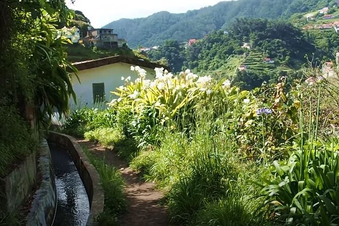 Mimosa Valley Walk - The levada is the attraction, and it explains the scenery