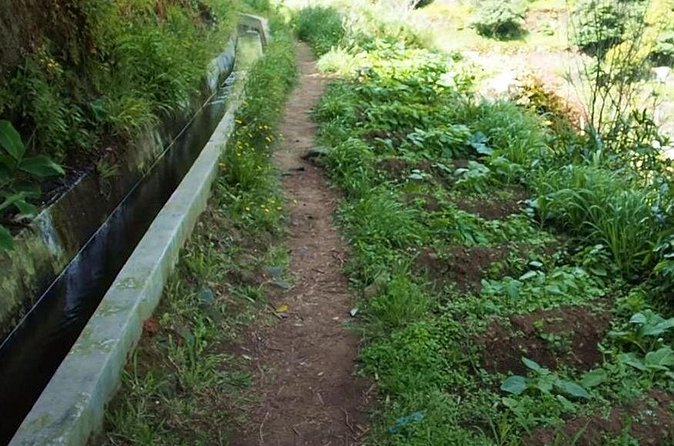 Mimosa Valley Walk - Price and value: what you pay for, and what you should bring