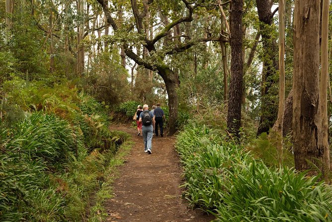 Mini -Combo East Challenge (Jeep & Levada Walk)- Shared Tour - Pickup timing from Funchal and Caniço, plus cruise meeting point