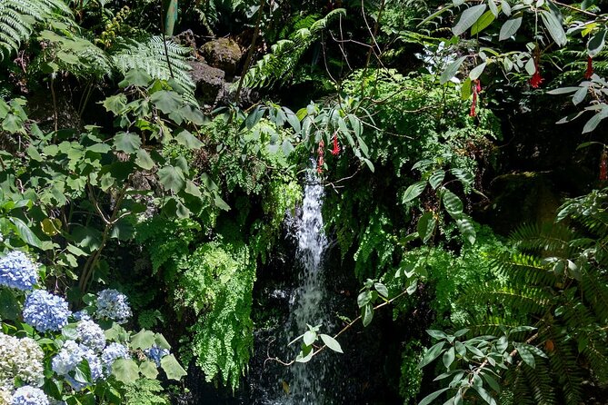 Monte Palace Tropical Garden tour with Cable Car - The optional toboggan ride back to Funchal (and how it changes your day)